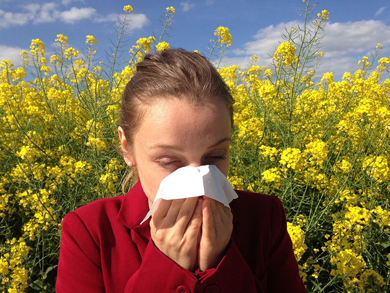 Pollenhelyzet 2022: Idén az átlagosnál súlyosabb tüneteket tapasztalhatnak az allergiások - Mit tehetsz ellene?