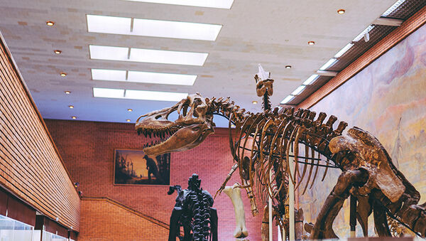 Ingyen múzeumlátogatás a nemzeti ünnepeken és bizonyos hétvégi napokon - Mikor hova tudsz menni a családdal?