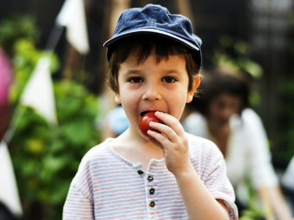 Paleo vagy vegetáriánus étrend gyerekeknek: Mit szól ehhez a dietetikus szakember?