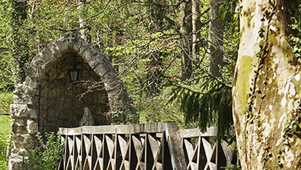 Szentjánosbogár-rajzás az Alcsúti Arborétumban! Június végéig tart a páratlan látványosság