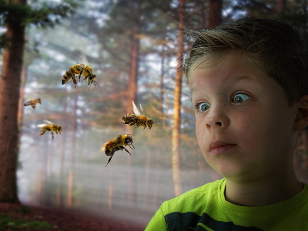 Méhcsípés, darázscsípés gyerekeknél: milyen tünetekkel kell azonnal orvoshoz fordulni?