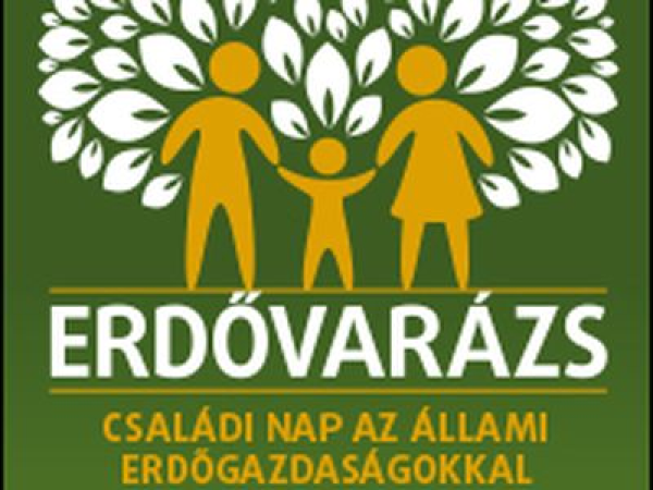 Erdővarázs: ingyenes családi programok reggeltől estig a budapesti Szabadság téren - Ide menjetek a gyerekekkel a hétvégén!