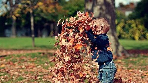Őszi szünet 2016 - 15 szuper ingyenes program az őszi szünetre Budapesten és vidéken