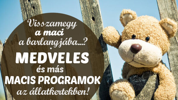 Macis programok 2018: Medveles, medve napok, állatok farsangja az állatkertekben - 7 tuti hely, ahova vidd el a gyereket!