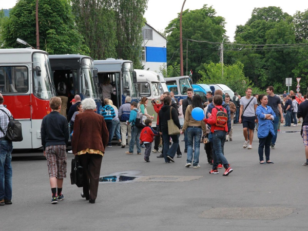 Ingyenes családi program az Óbudai buszgarázsban: Nyílt napot tartanak szombaton a járművek szerelmeseinek