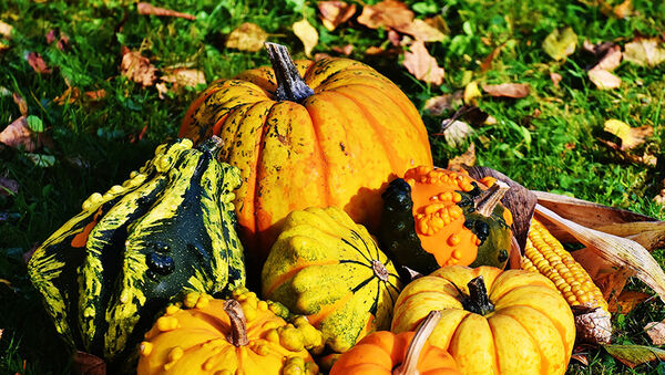 Mérgezést is okozhat a dísztök! - Ezért nem szabad enni belőle még kis mennyiséget sem, figyelmeztet a Nébih