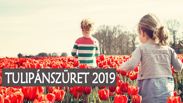 Tulipánszüret 2019: 3 helyszín, ahol tulipánt szedhetsz az országban, és belépőt sem kell fizetned! - Hétvégi programnak tökéletes