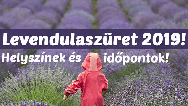 Levendulaszüret és levendulafesztivál 2019: 10 helyszín és időpont, ahol levendulát szedhetsz vagy fotózkodhatsz