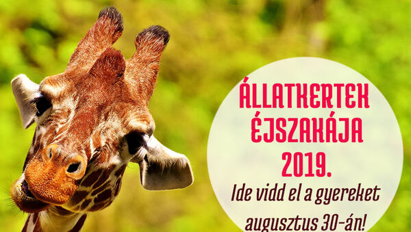 Állatkertek éjszakája 2019: Ezek az állatkertek és vadasparkok várnak éjszaka is augusztus 30-án! Helyszínek és programok - 