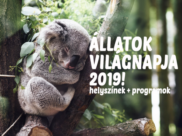 Állatok világnapja 2019: 13 állatos helyszín szuper programokkal Budapesten és vidéken! - Ide vidd el a gyereket októberben