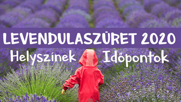 Levendulaszüret, levendula szedd magad 2020: 13 helyszín és időpont, ahol levendulát szedhetsz vagy fotózkodhatsz idén