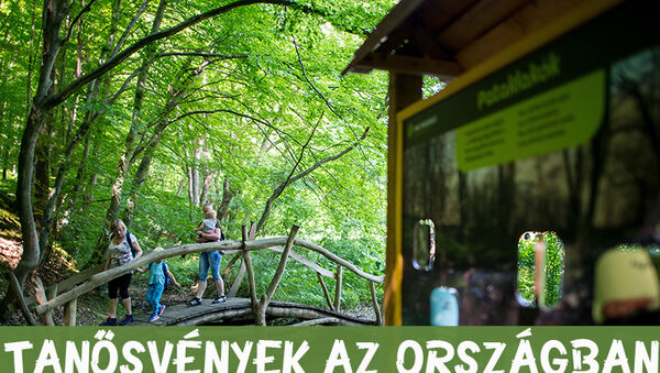 Kirándulás gyerekkel: 35 varázslatos tanösvény az országban, ahova menjetek el idén!