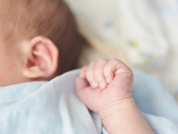 Ettől el fogsz olvadni: az újszülött ikrek egymás kezét fogják - csodálatos videó