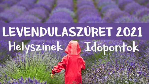 Levendulaszüret 2021: Ezeken a helyeken szedhetsz idén levendulát, vagy akár fotózkodhatsz is