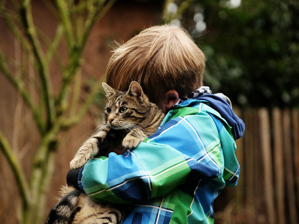 Nyugodtabbá válnak azok a cicák, akik autista gyermeket nevelő családhoz kerülnek