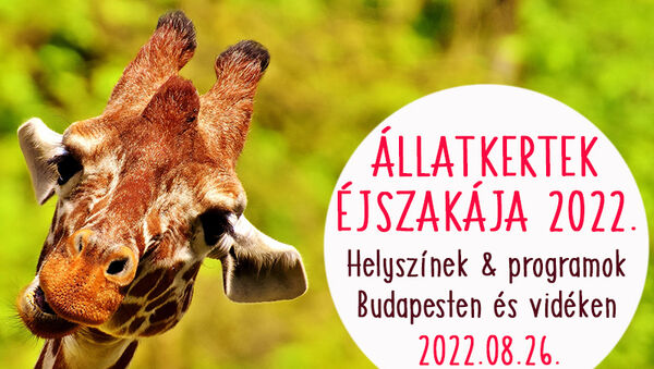 Állatkertek éjszakája 2022: Ezek az állatkertek és vadasparkok várnak különleges programokkal pénteken