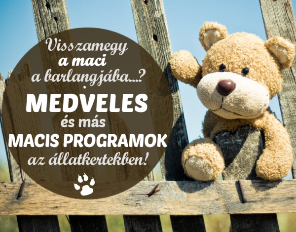 Medve nap 2023: Medveles, Mackófesztivál, Időjós állatok - Izgalmas programokkal várják az állatkertek a látogatókat