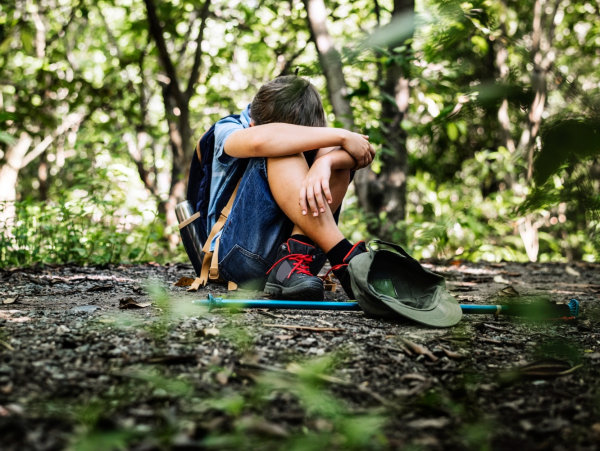 Nyilatkozott az elkövető, aki a kalandparkban bántalmazta a kisfiút